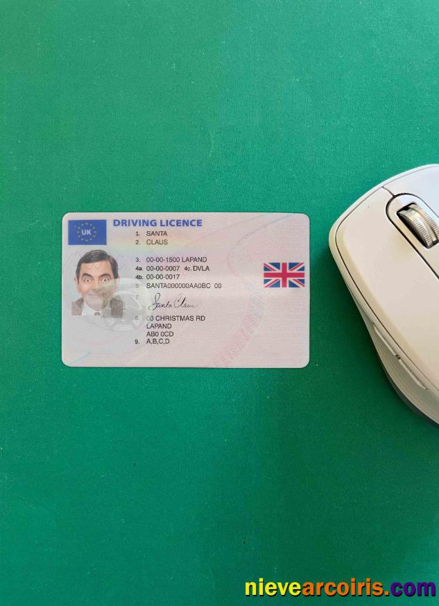 United Kingdom driving license (between January 2021 and December 2021) photolook